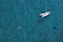 shark circling a boat and swimmer in the water 