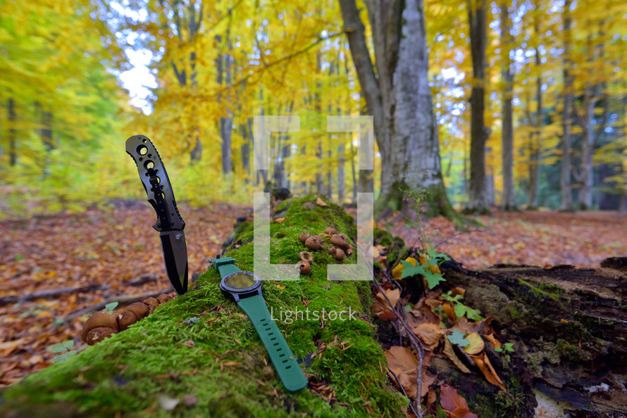 knife and watch in the woods 