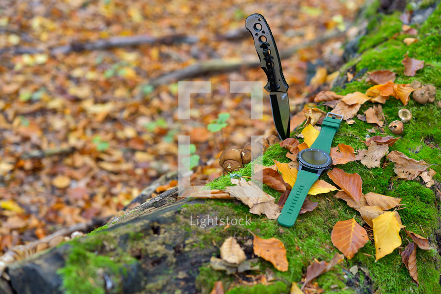 knife and watch on a mossy log 