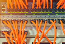 Information Technology Computer Network, Telecommunication Ethernet Cables Connected to Internet Switch.