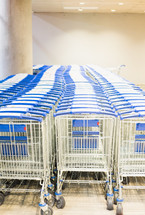 rows of shopping carts 