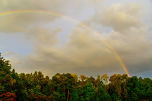 rainbow over a forest 