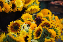 sunflowers at an outdoors flower market 