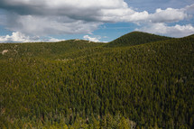 wilderness in Colorado