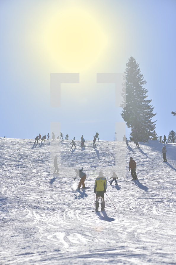 skiers on slopes 