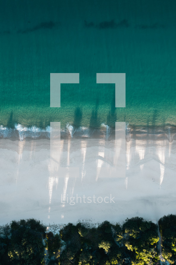 Vertical image of the water, beach, and trees