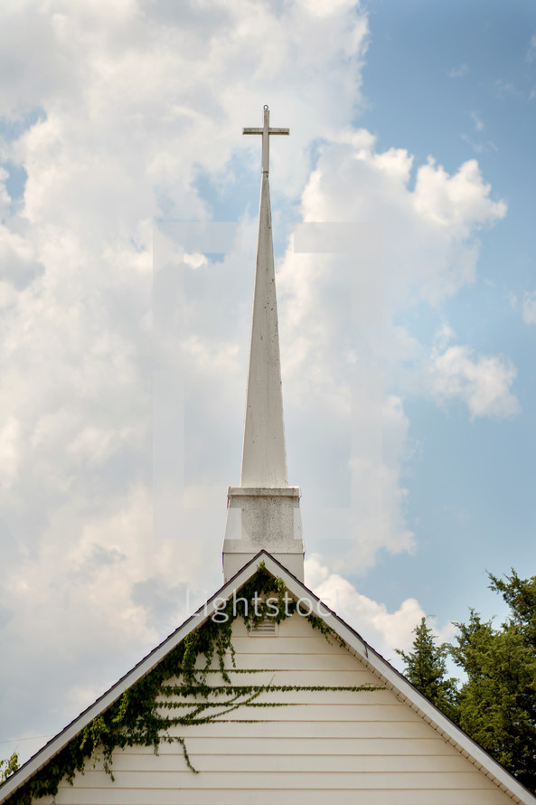 white church steeple and ivy on the roof 