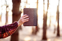 a woman's arm holding out a Bible while in the woods 