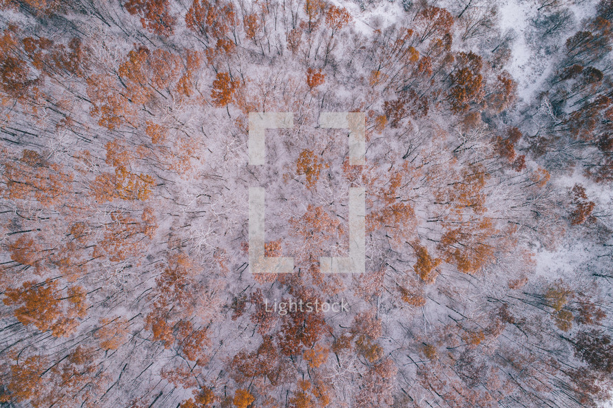 aerial view over a fall forest covered in snow 