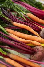 colorful vegetables 