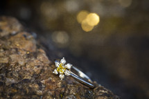 flower ring on a rock 