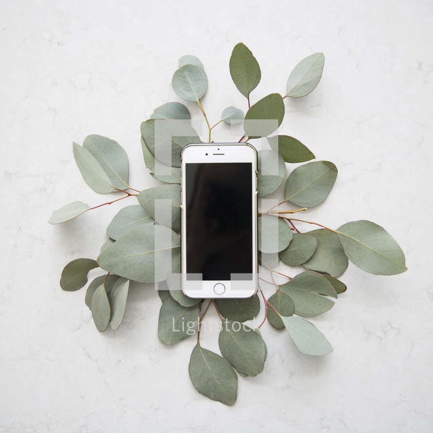 smart phone on eucalyptus leaves.