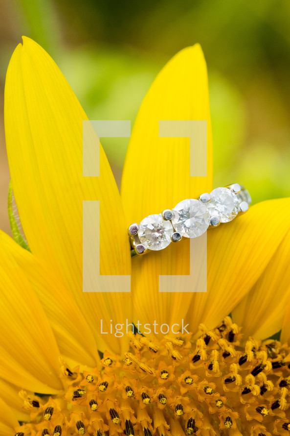 Engagement ring hanging on yellow flower petal