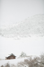 a cabin in the snow 