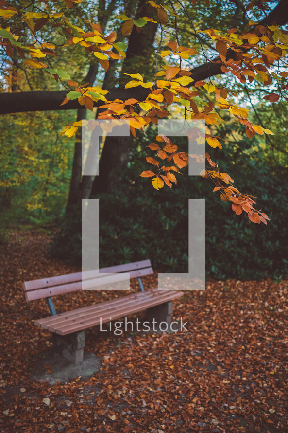 park bench in a fall setting 