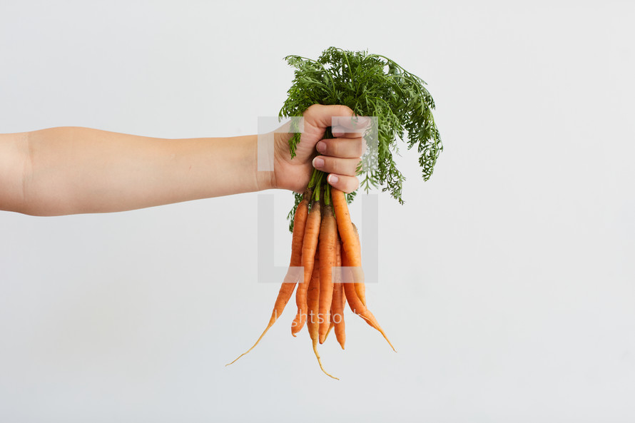 arm holding out a bunch of carrots 