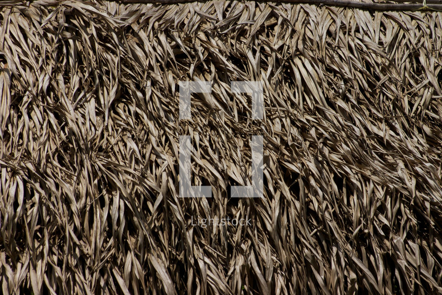 A closeup of a thatched roof made of large leaves.