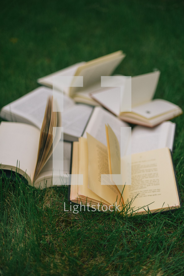 book scattered in grass