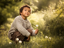 little boy picking dandelions 