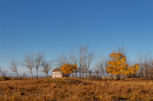 autumn prairie 