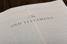 Scripture Titles - The Old Testament