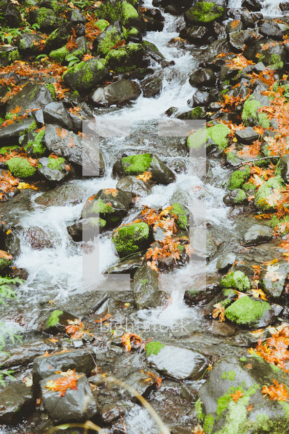 flowing stream over moss covered rocks 
