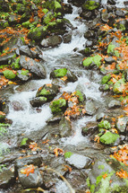 flowing stream over moss covered rocks 