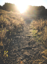 warm sunlight on a gravel path 