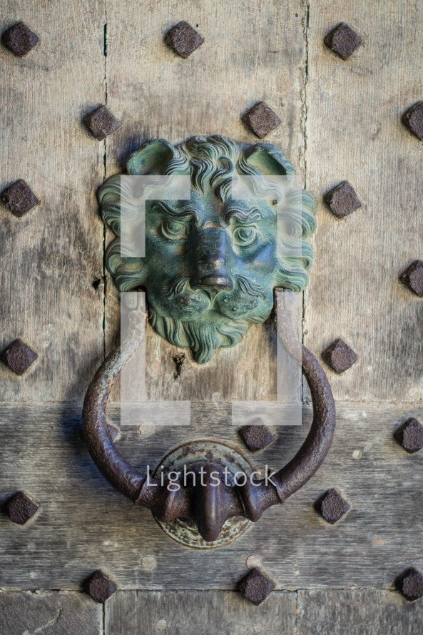 lion door knocker 