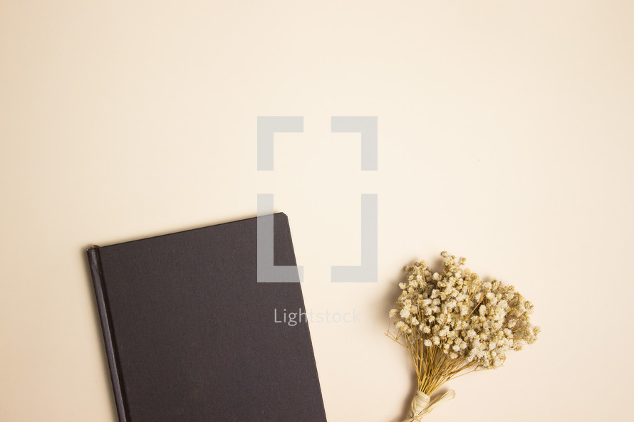 Black notebook and dried flowers on tan background