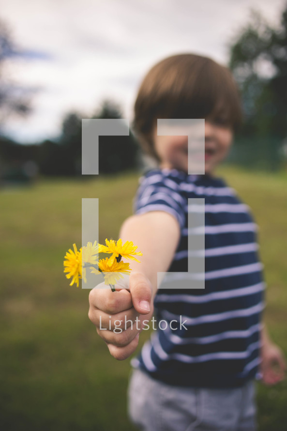 boy child holding dandelions 