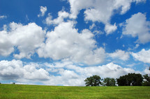 Green grass with trees and a blue sky with white clouds.