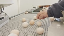 Eggs on a conveyor belt in a large chicken farm