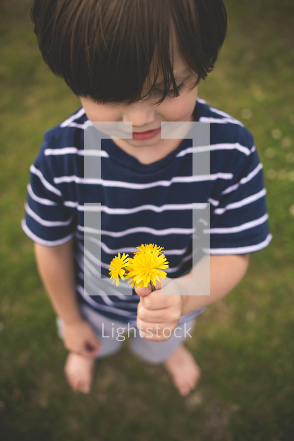 toddler boy holding dandelions 