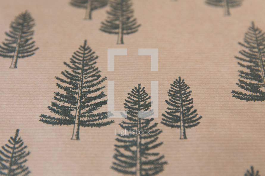 pine trees wrapping paper 