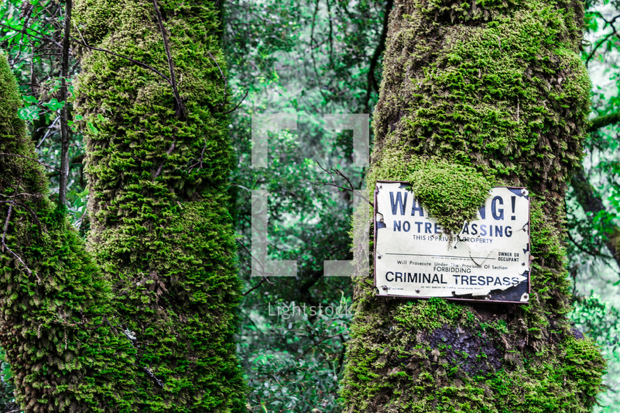 A warning sign partially covered by moss