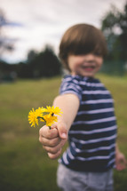 boy child holding dandelions 