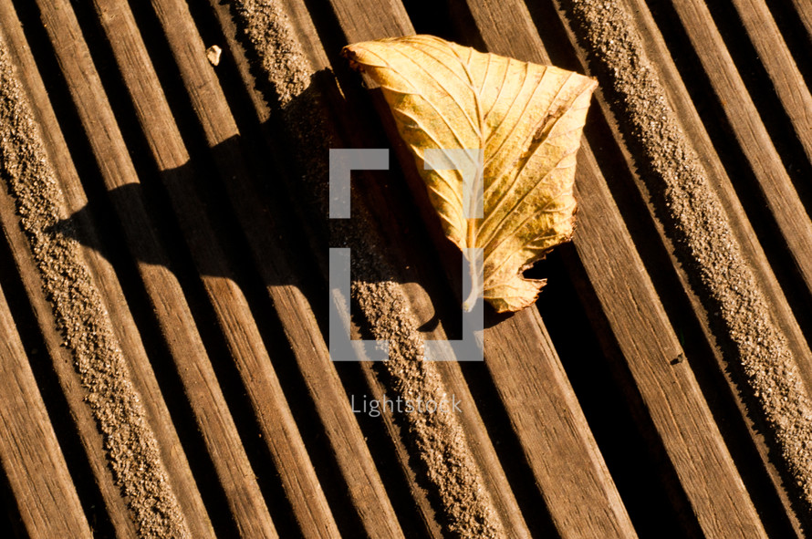 leaf on a deck