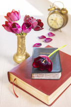 Tulip on the pages of a Bible 