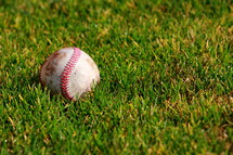 Dirty baseball in the grass.