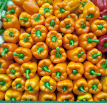 orange bell peppers 