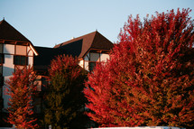 red fall trees in front of a house 