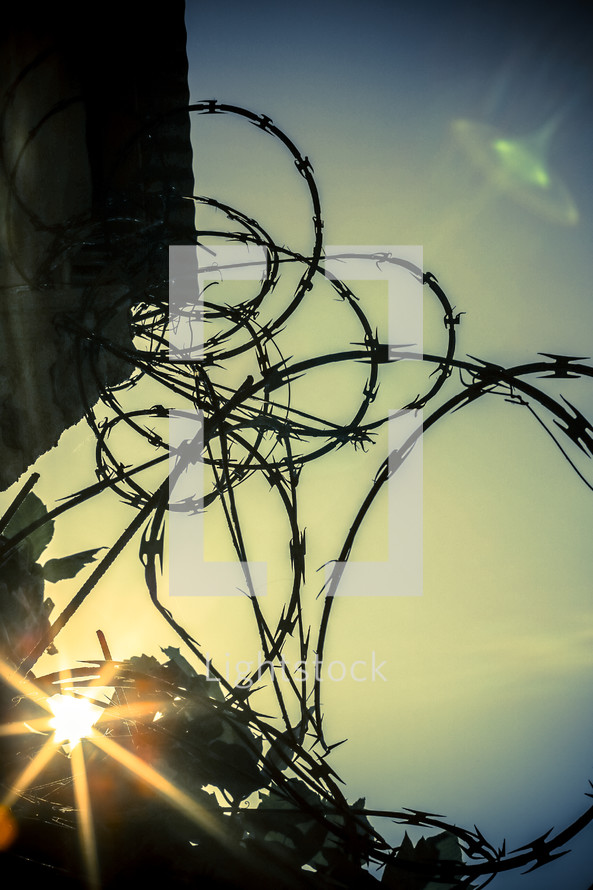 Sun shining through barbed wire