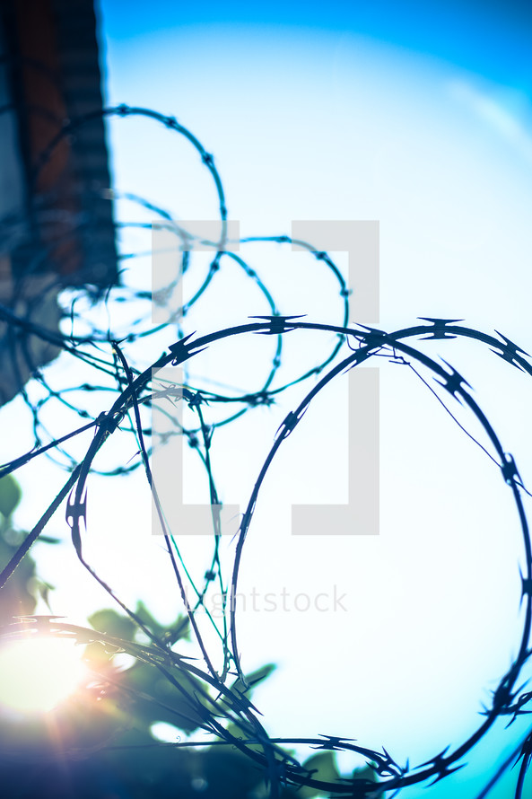 Tangled barbed wire against the sky