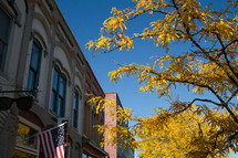 American flag on a building and fall tree 