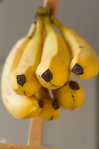 hanging bananas 