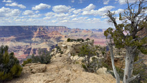 Grand Canyon wide vista.