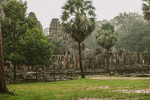 palm trees and temple ruins 