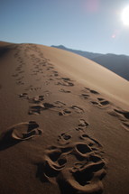 footprints on a sand dune 