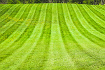 a field of green grass 